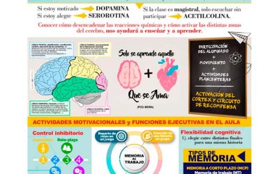 Neurociencia aplicada al aprendizaje de idiomas: Procesos de memoria y aprendizaje permanente